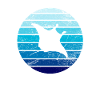 Stingray