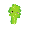 now we have the salad