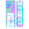 Pontoon American Flag