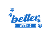 Bollipoo