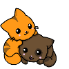 Kittens