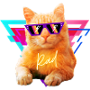 Rad Kitty