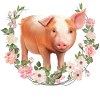 Pigs Drawing Piglet Farm