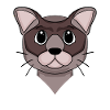 Burma Cat
