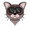 Burma Cat