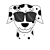 Dalmate