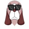 Basset Hound dog dogs