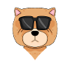 Chow Chow Dog Cool