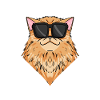 Cool Persian Cat Cat Cat