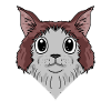 Maine-Coon Head Cat Cat Owner