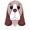 Basset Hound dog dogs
