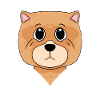 Chow Chow Dog Dog