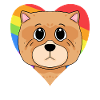 Chow Chow Dog Dog