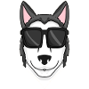 Siberian Husky dog with sunglasses