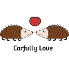 Carefully Love