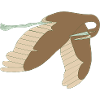 cigogne brune