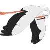 stork