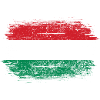 Hungarian Brush Flag Art