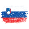 Slovenia Flag Brush Art