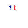 Heartbeat Design French Flag France
