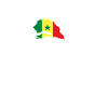 Heartbeat Design Drapeau sénégalais Sénégal