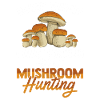Mushroom Hunting