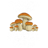 Mushroom Hunting