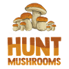 Chasse aux champignons