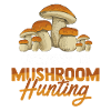 Chasse aux champignons