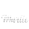 future mariée - evjf - mariage