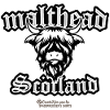 Malt Whiskey Malthead