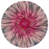 Tie Dye Abstract Flower Motifs