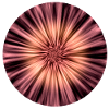 Beige Brown Dreamy Flower Design