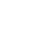 Édition limitée 1999