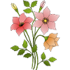 Fleur