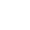 Limited Edition 1990