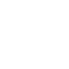 Édition limitée 1981