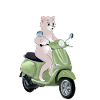 CAT ON A GREEN SCOOTER