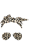 Donkey Pox