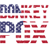 Donkey Pox