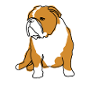 English Bulldog Line Art