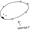 Simple Wombat