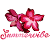 summervibe,oleander,flower,lotus,floral