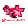 oleander,flower,lotus,bali,hawaii2022,summer,floral