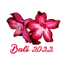 oleander,flower,lotus,bali,bali2022,summer,floral