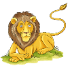 casual lion