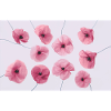 POPPY Pink Red