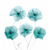 Poppy Flowers White Green