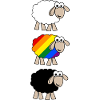 Rainbow Sheep