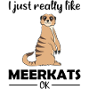 Meerkat Lover Funny Saying Gift